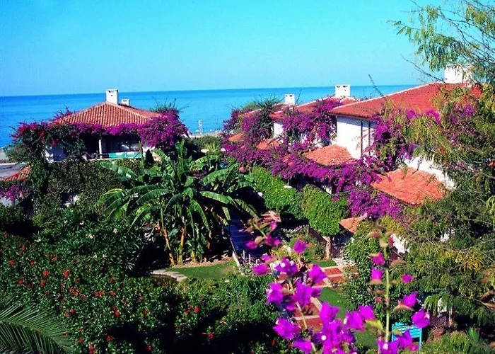 Hotel Club Titan Ultra Kargıcak
